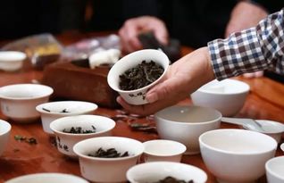 地理标志产品 安溪铁观音 民间茶王 大奖赛