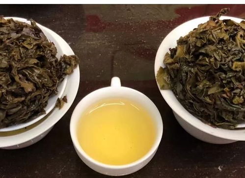 探本溯源 安溪铁观音的三大核心品类